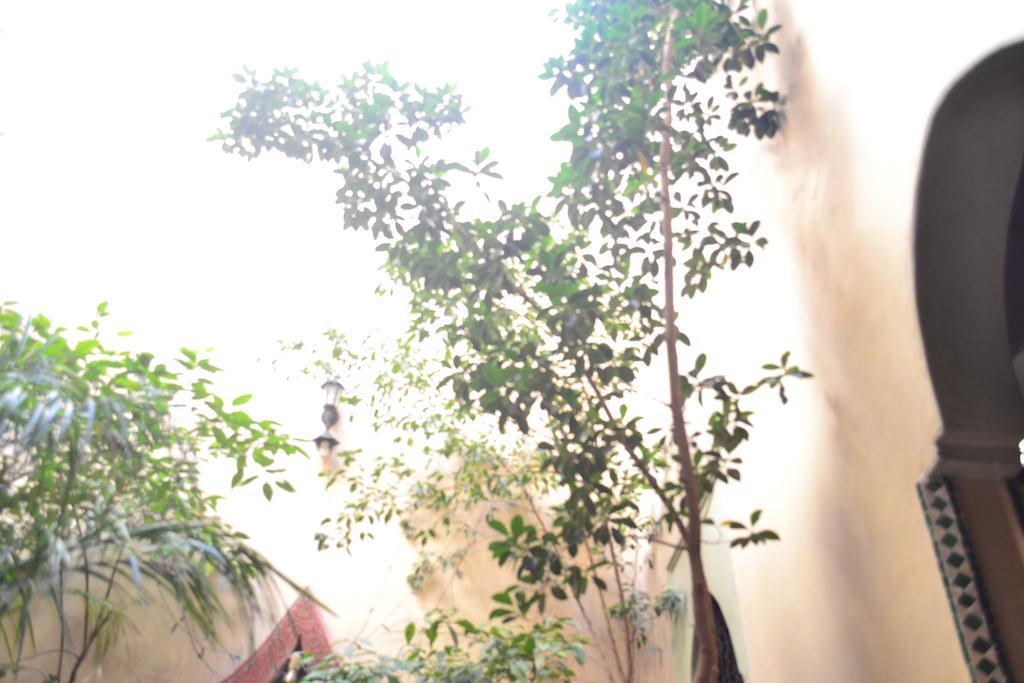 Riad Hotel Belleville Marrakech 마라케시 외부 사진