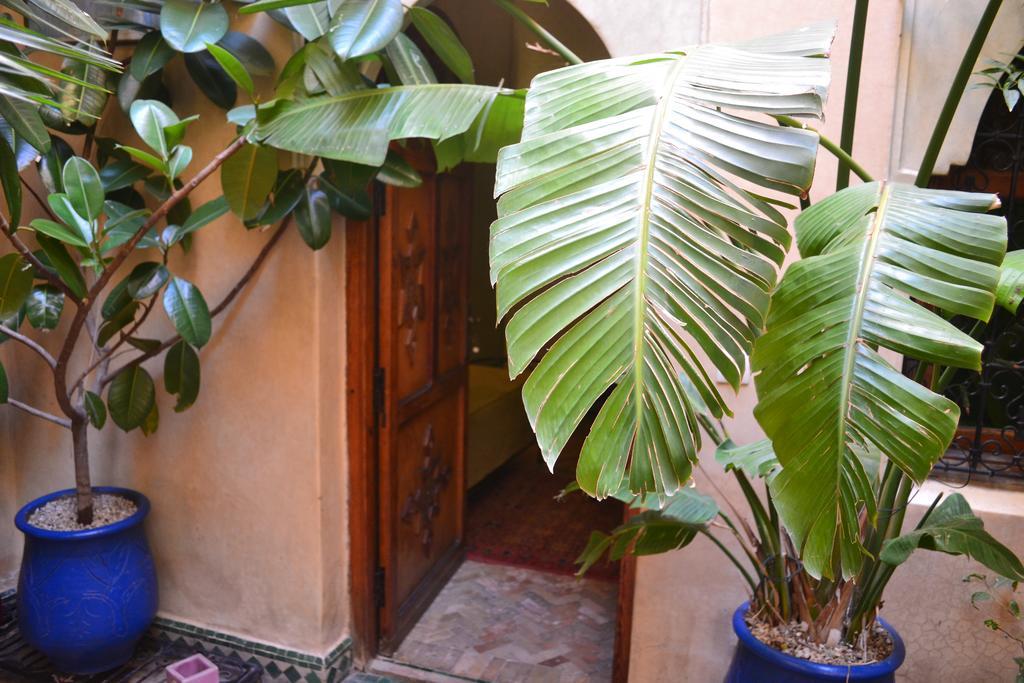 Riad Hotel Belleville Marrakech 마라케시 외부 사진