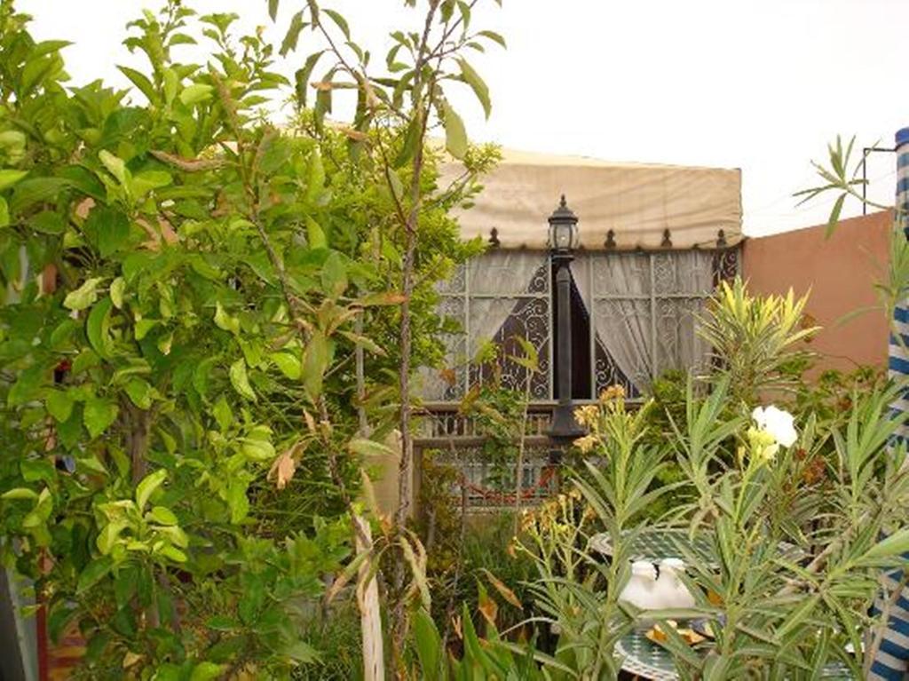 Riad Hotel Belleville Marrakech 마라케시 외부 사진